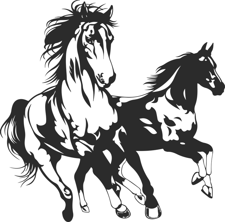 Horses Silhouette Illustration